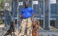 PHOTO STORY: A Day in the Life of Explosive Detection Dogs in Mogadishu