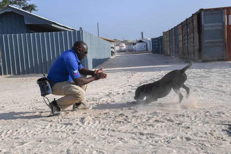 14.-gordon_playing.jpg